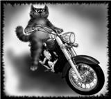 Аватара пользователя